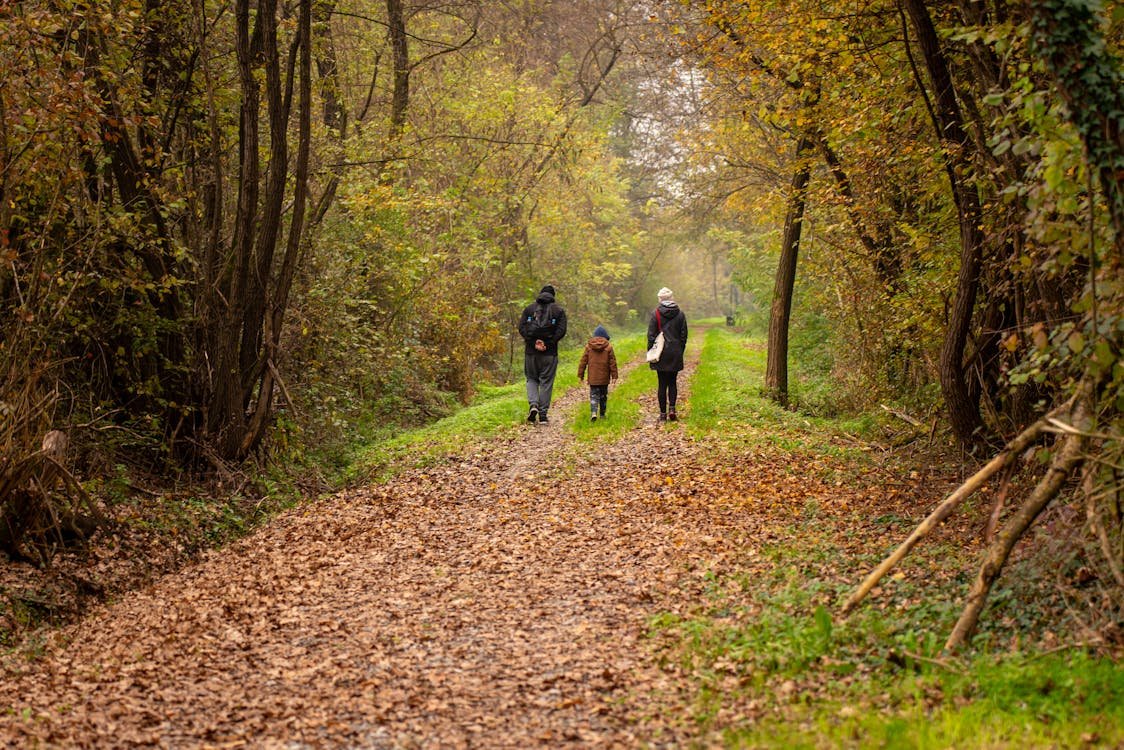 Familie wandelt door een herfstbos, perfect voor een vakantie bij Center Parcs Europa