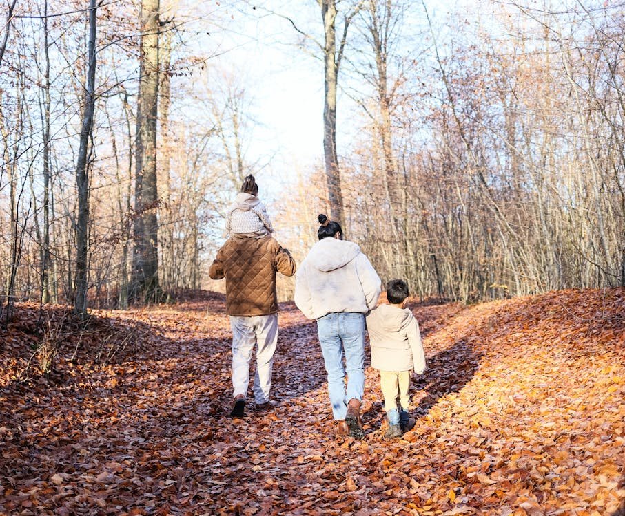Gezin met kinderen wandelt door een herfstbos - luxe vakantiepark met kinderen