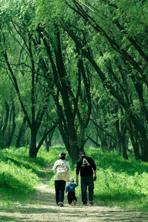 Gezin wandelt door een groen bospad in Nederland