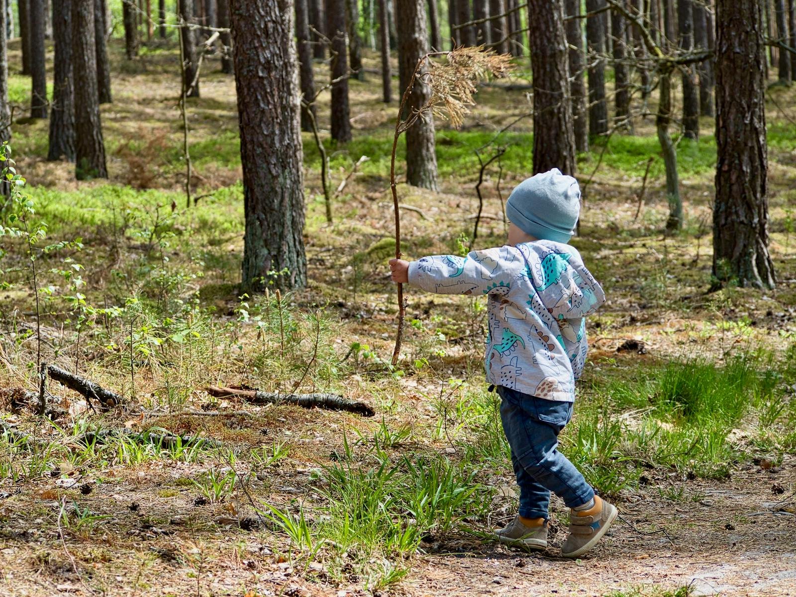 Kind verkent dennenbos met stok in de hand — het bosthema van Bing Center Parcs