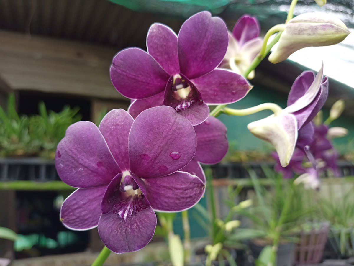 center parcs postcode loterij vakantiecheque