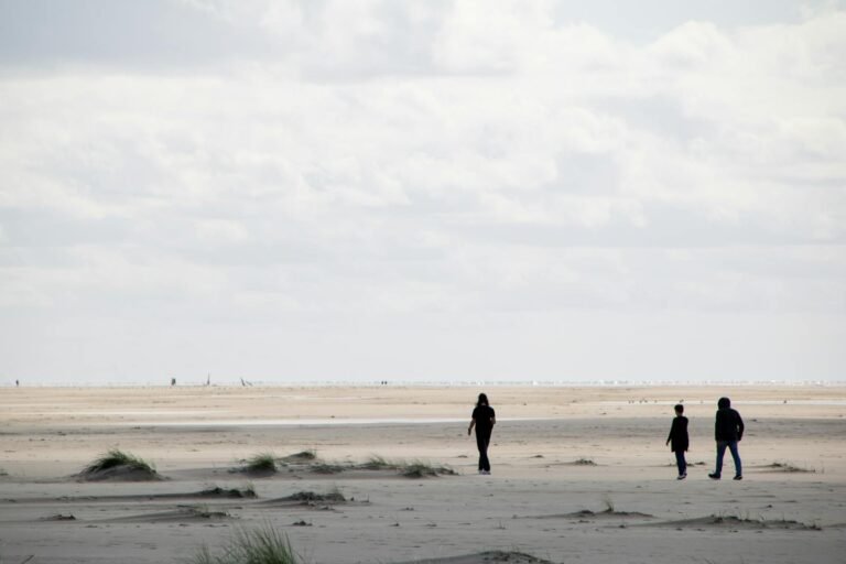 Wandelaars op het brede Noordzeestrand bij De Haan met duinen op de voorgrond