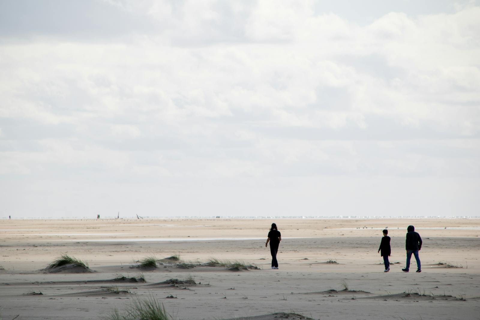 Wandelaars op het brede Noordzeestrand bij De Haan met duinen op de voorgrond