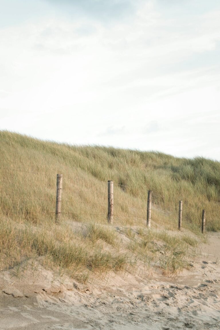 Rustige duinen met houten paaltjes aan de Nederlandse kust