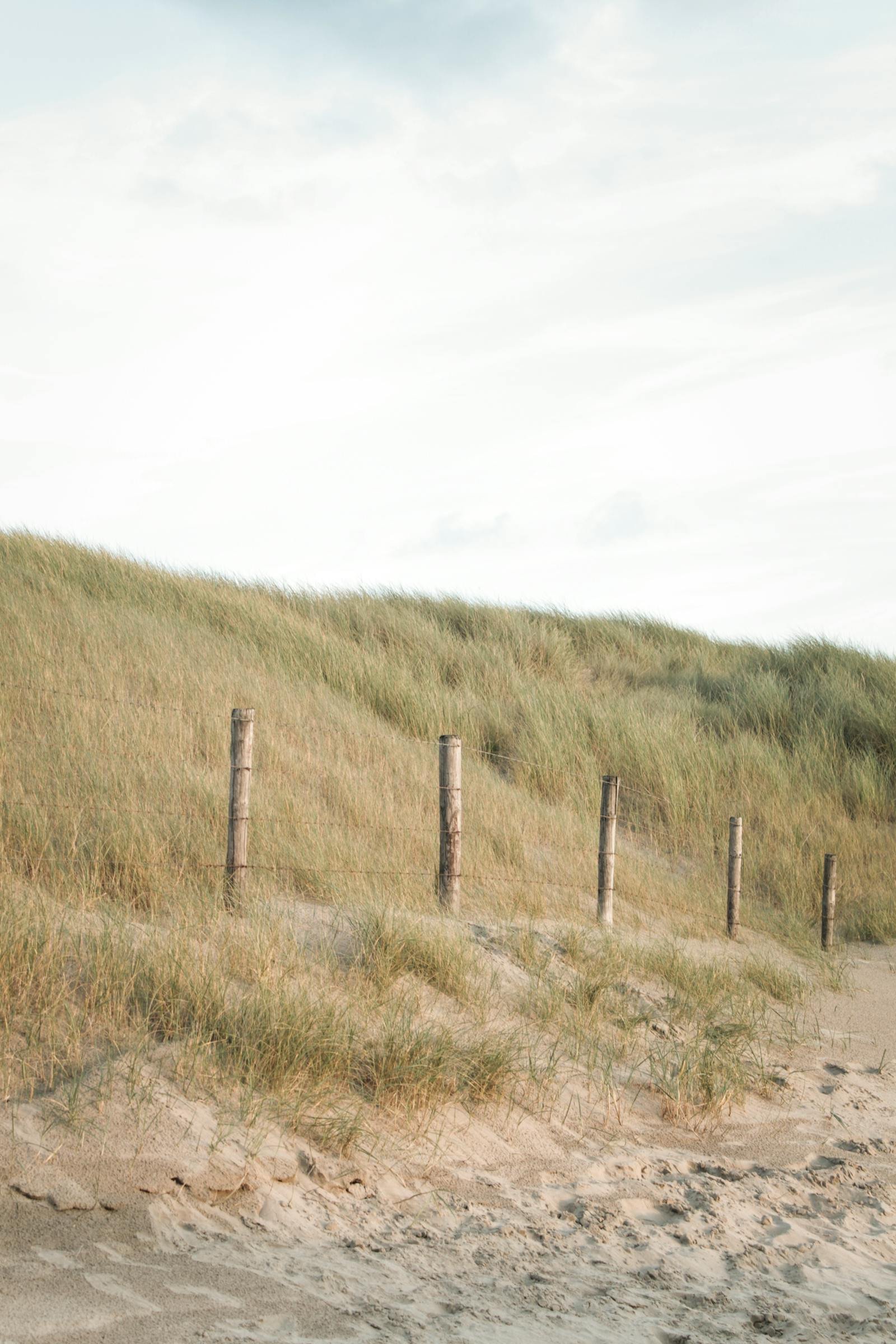 Rustige duinen met houten paaltjes aan de Nederlandse kust