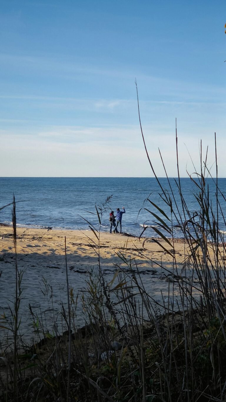 Rustig Noordzeestrand op 67 km van Gent — Park De Haan met subtropisch zwembad is het dichtstbij