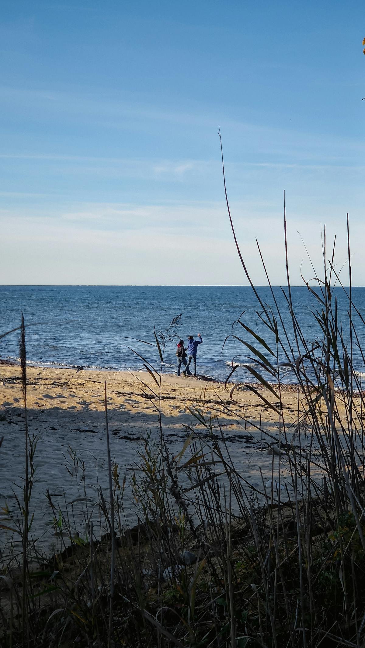 Rustig Noordzeestrand op 67 km van Gent — Park De Haan met subtropisch zwembad is het dichtstbij