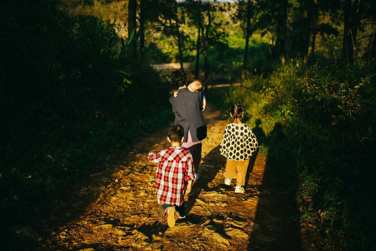 Gezin wandelt door een zonnig bospad met kinderen — Center Parcs Het Meerdal sfeerbeeld