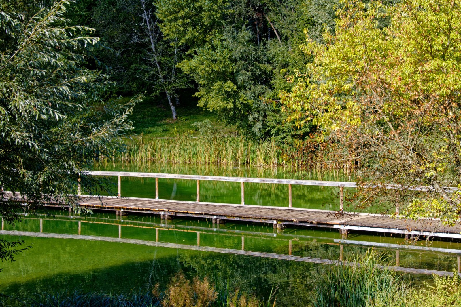 Houten brug over een rustig groen meer in een natuurgebied, vergelijkbaar met de fiets- en wandelbrug bij Terhills