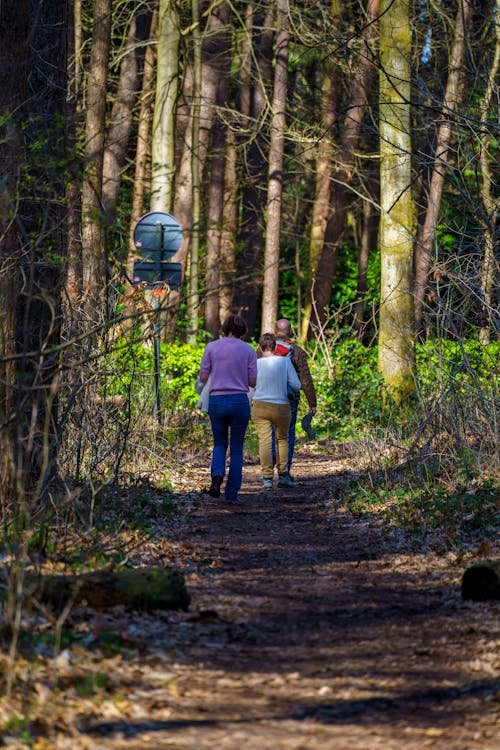 Gezin wandelt op een bospad in de lente — natuur rondom Center Parcs De Huttenheugte