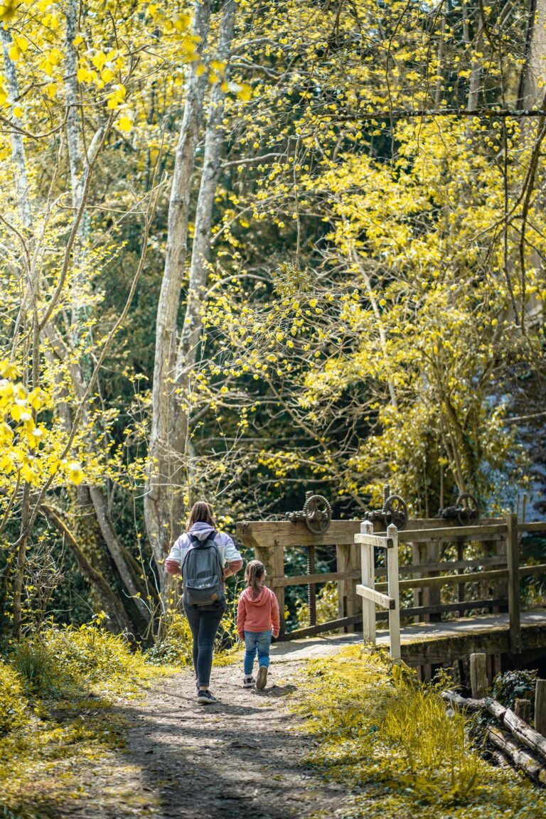Moeder en kind wandelen op zonnig bospad in lentebos