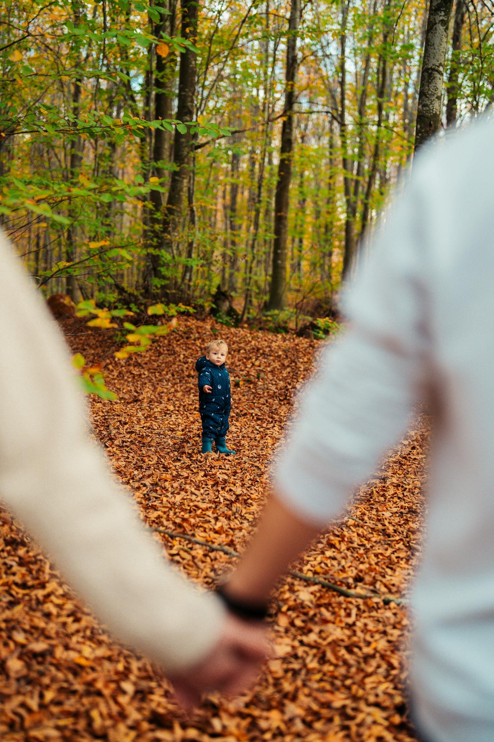 Gezin met kind wandelt door herfstbospad in de Ardennen