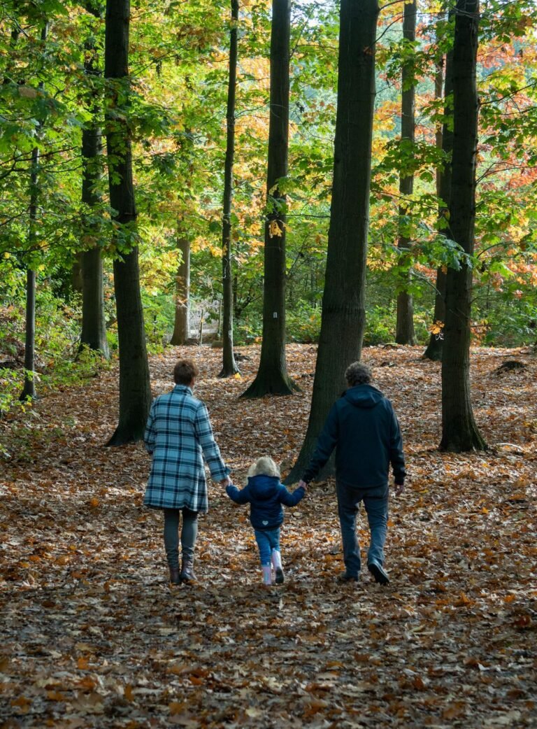Gezin met kind wandelend door herfstbos in België