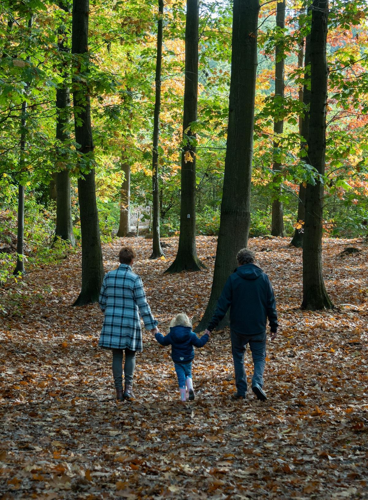 Gezin met kind wandelend door herfstbos in België
