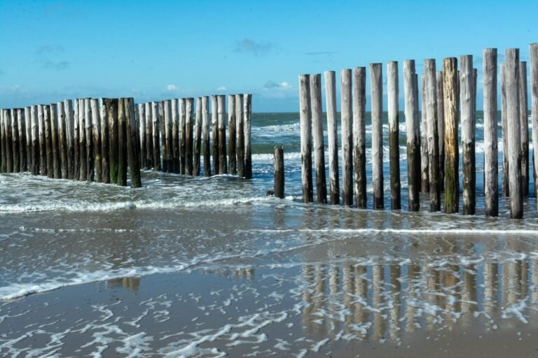 Houten palen op het Zeeuwse strand bij heldere lucht