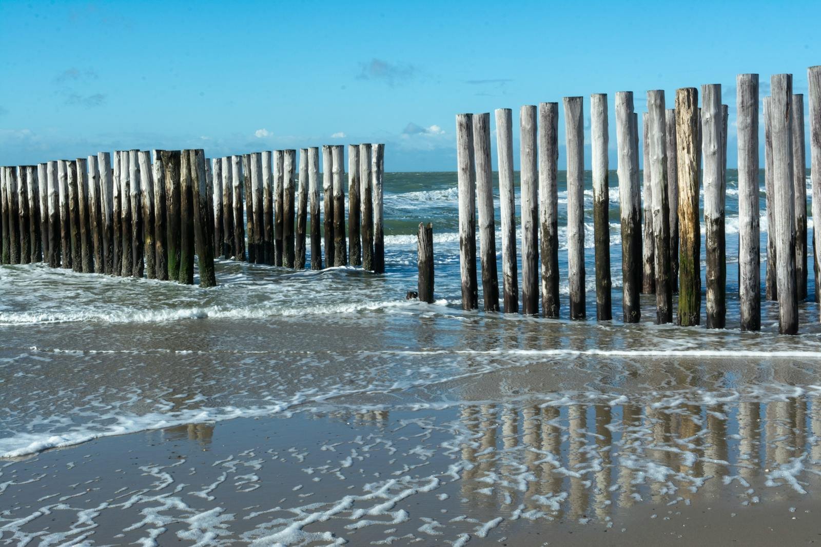 Houten palen op het Zeeuwse strand bij heldere lucht