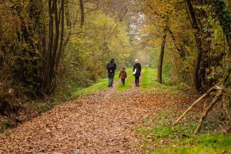 Gezin wandelt door een herfstig bospad, sfeer Belgische natuur