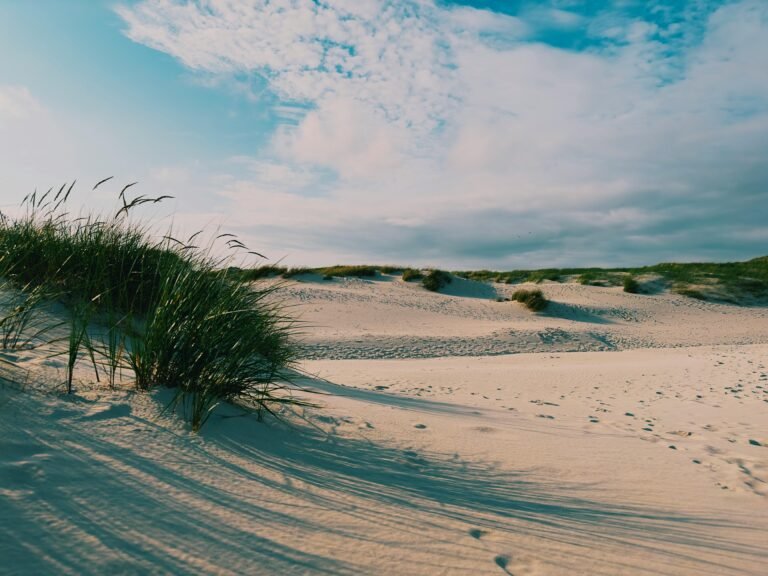 Zonnige duinen aan de Zeeuwse kust