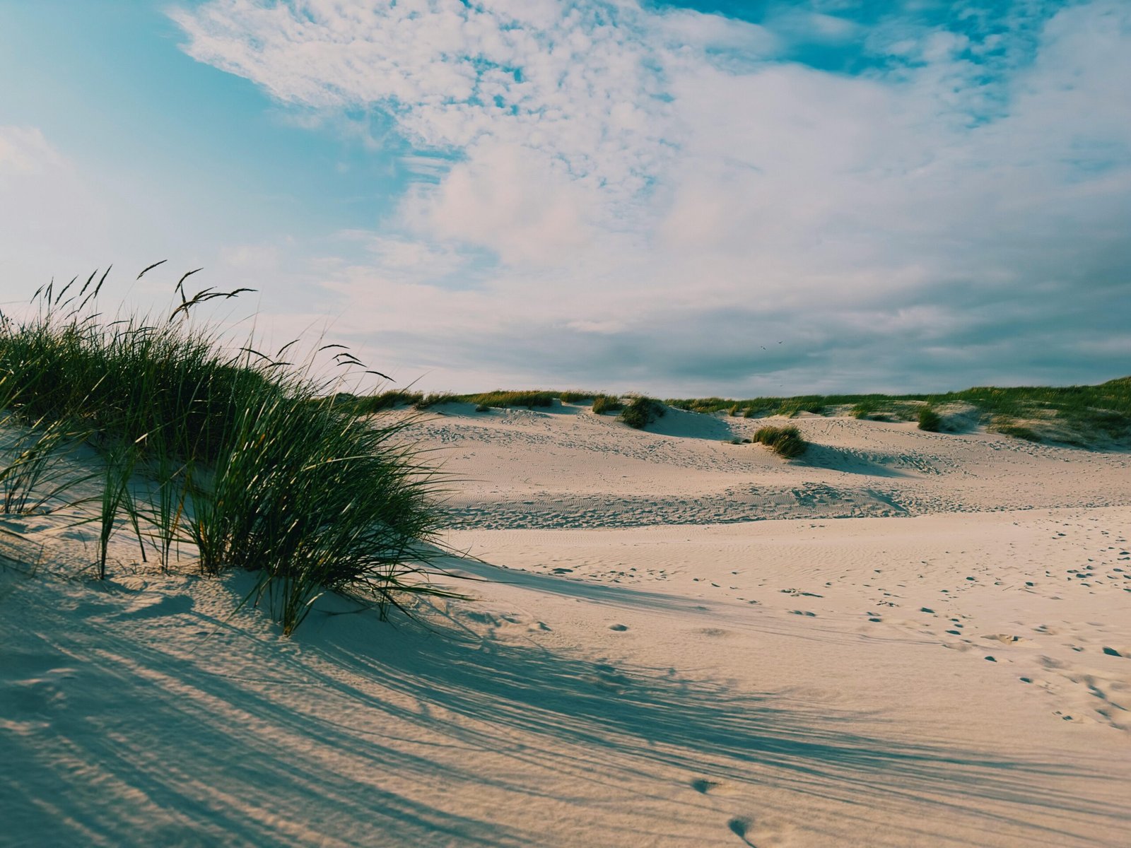 Zonnige duinen aan de Zeeuwse kust