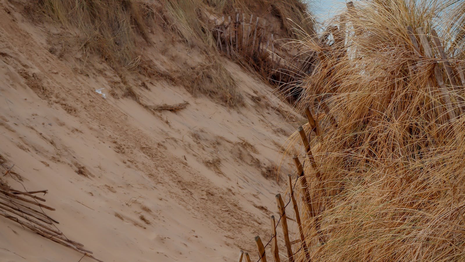 Houten vlonderpad door de duinen naar het strand bij een Zeeuws kustpark