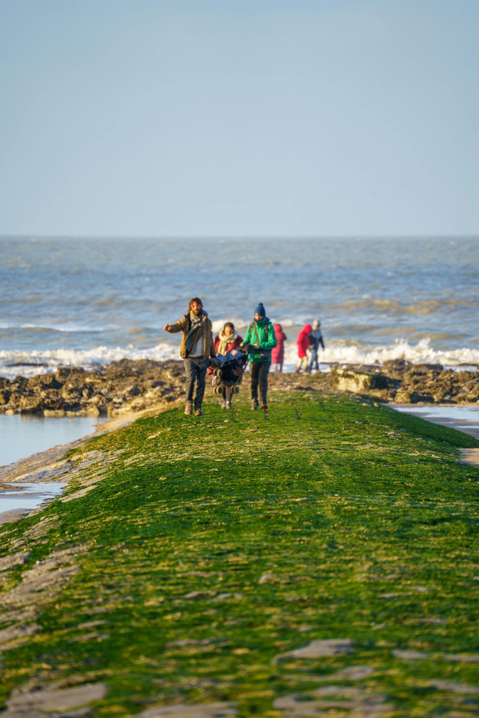 Gezin wandelt aan de Belgische kust over een pad met zeewier richting de Noordzee