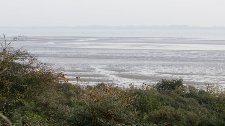 Duinen en strand langs Nederlandse kust, locatie populair Roompot vakantiepark