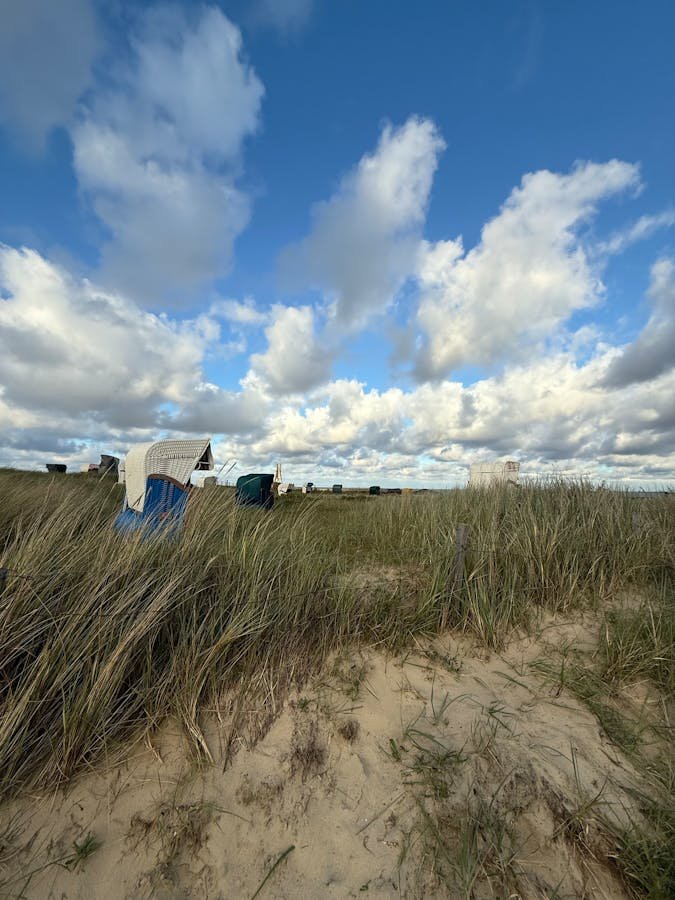 Noordzee strand met duinen en blauwe lucht in Zeeland
