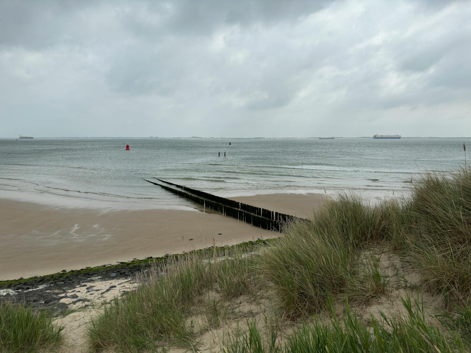 Noordzee strand Zeeland duinen