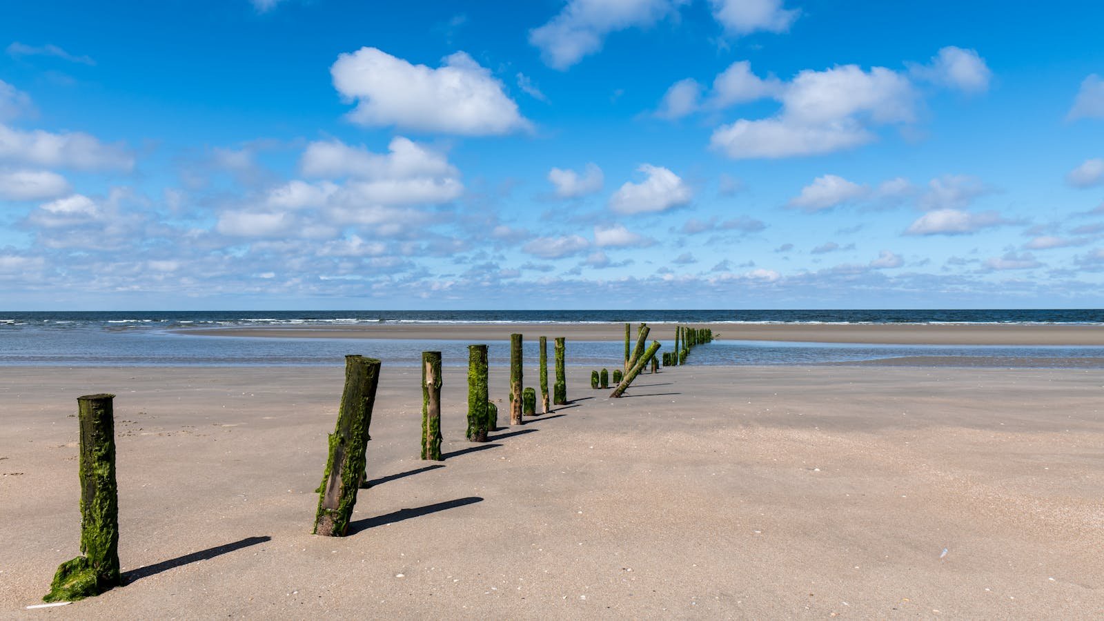 Noordzee strand met houten paaltjes onder een blauwe lucht