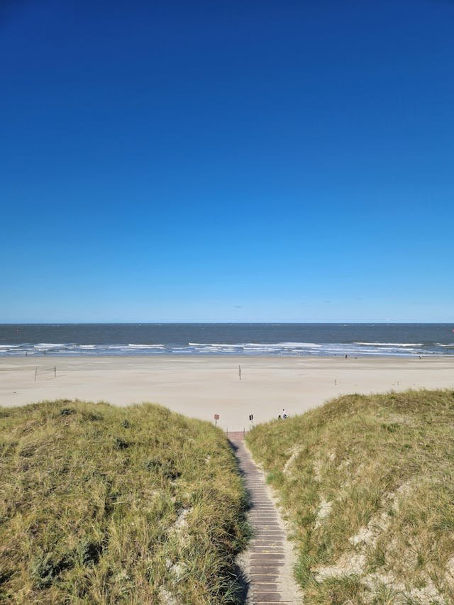 Houten loopbrug door duinen richting Noordzee bij Beach Resort Kamperland in Zeeland