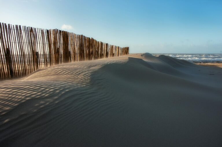 Duinen en strandhek aan de Hollandse kust bij Zandvoort