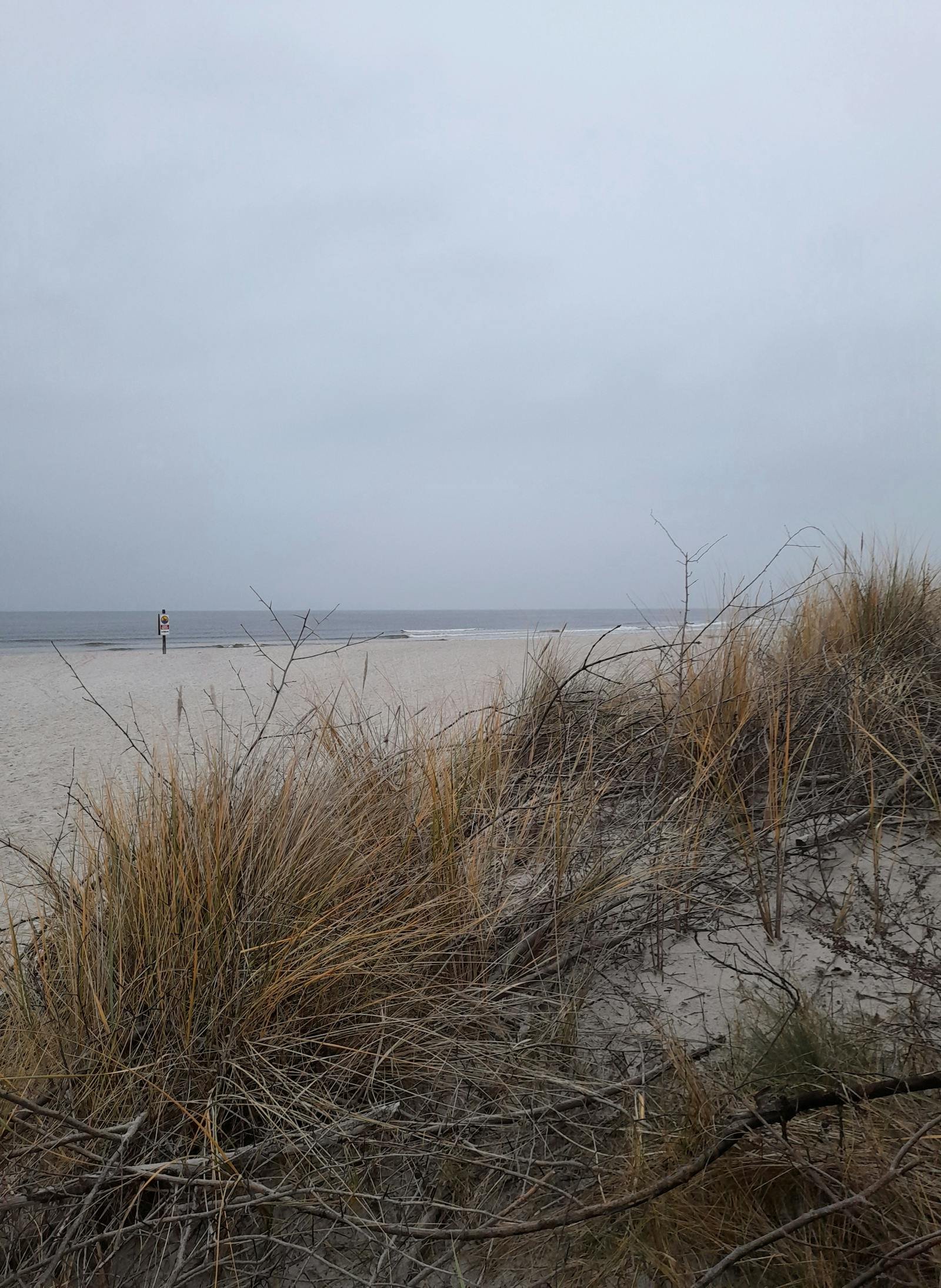 Strand en duinen aan de Zeeuwse kust