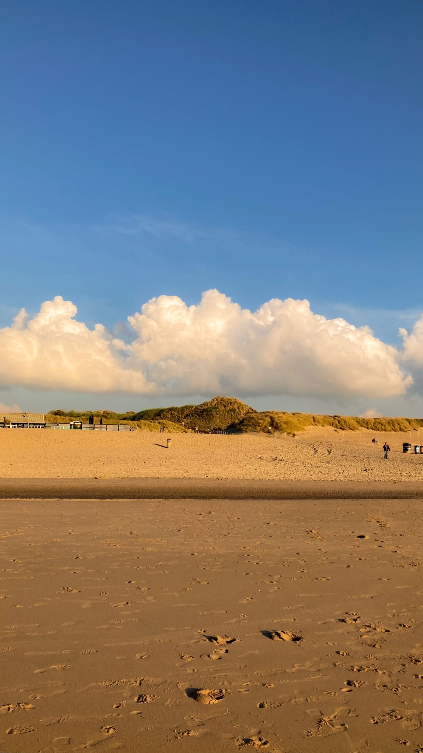 Strand en duinen aan de Noord-Hollandse kust, vlakbij Julianadorp aan Zee