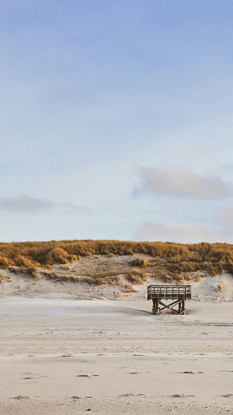 Strand met duinen en houten loopbrug bij de kust van Zeeland