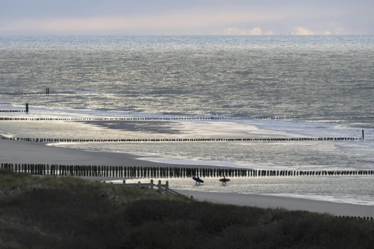 Surfers bij houten golfbrekers aan de Zeeuwse kust, vlak bij Roompot Beach Resort Kamperland