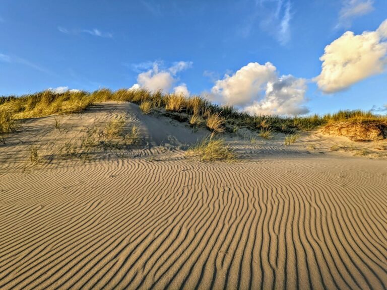 Duinen met helmgras aan de Nederlandse Noordzeekust bij een Zeeuws vakantiepark
