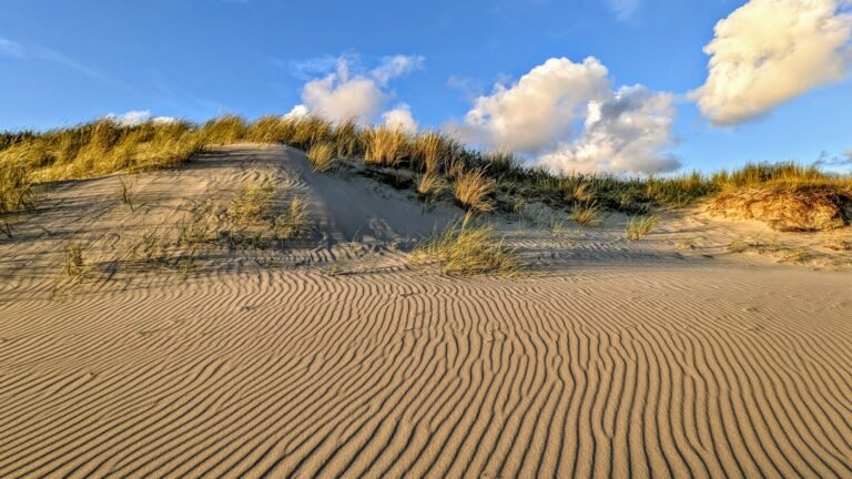 Duinen aan de Nederlandse kust met gras onder een blauwe lucht