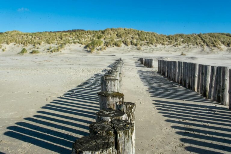 Strand met duinen aan de Zeeuwse kust, op loopafstand van Roompot Nieuwvliet-Bad
