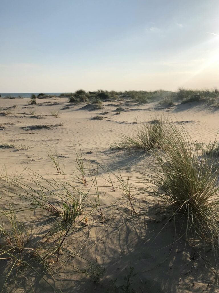 Zandduinen langs de Nederlandse Noordzeekust nabij een Roompot Beach Resort in Zeeland