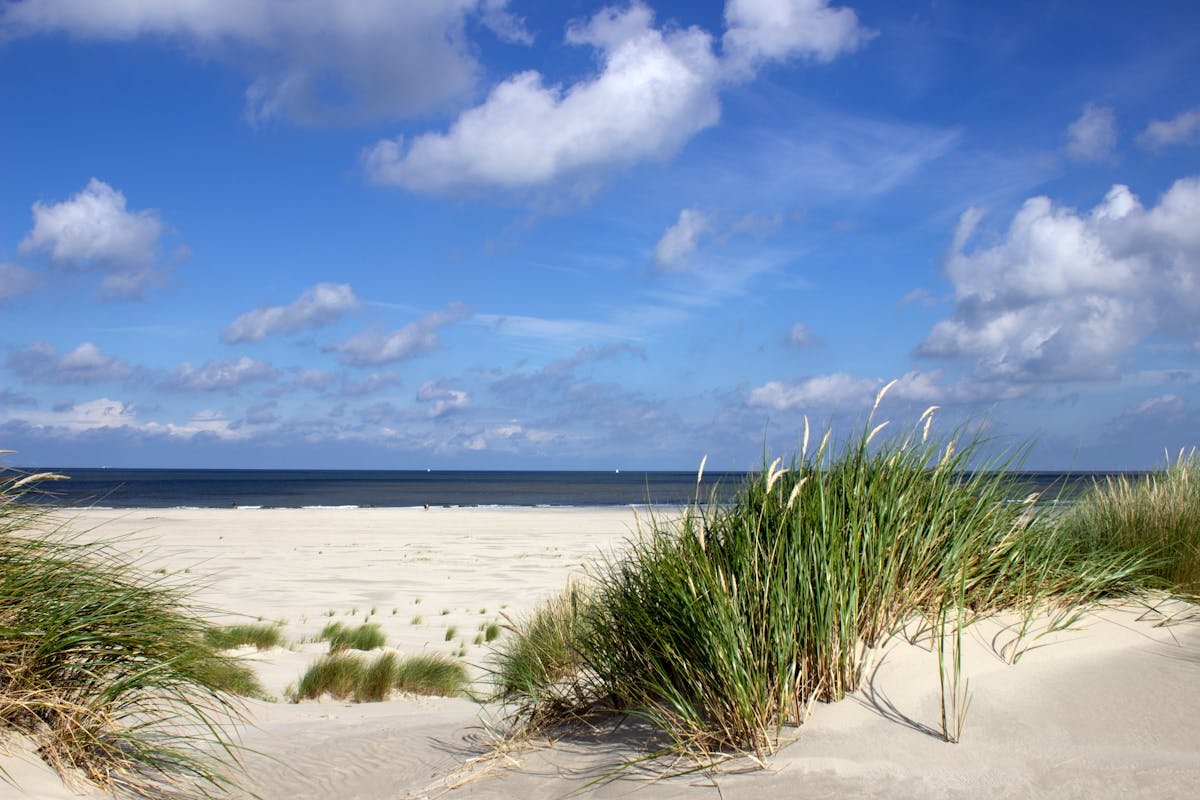 Strand met duinen in Zeeland, dicht bij Roompot Beach Resort Kamperland