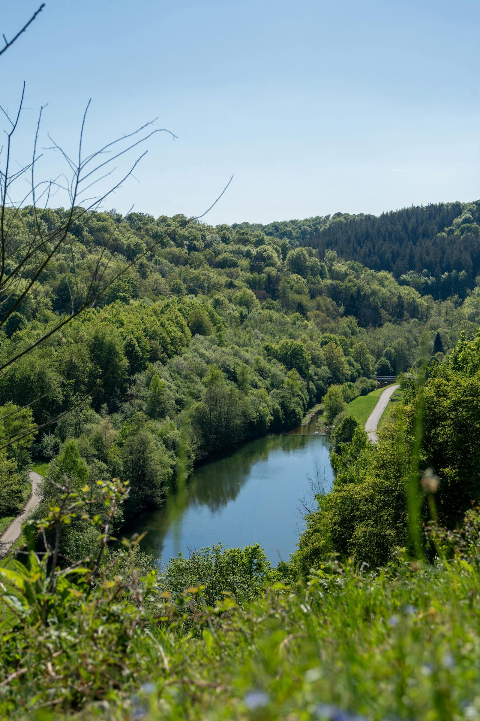 Groen bos en rivier in de Belgische Ardennen rond Durbuy