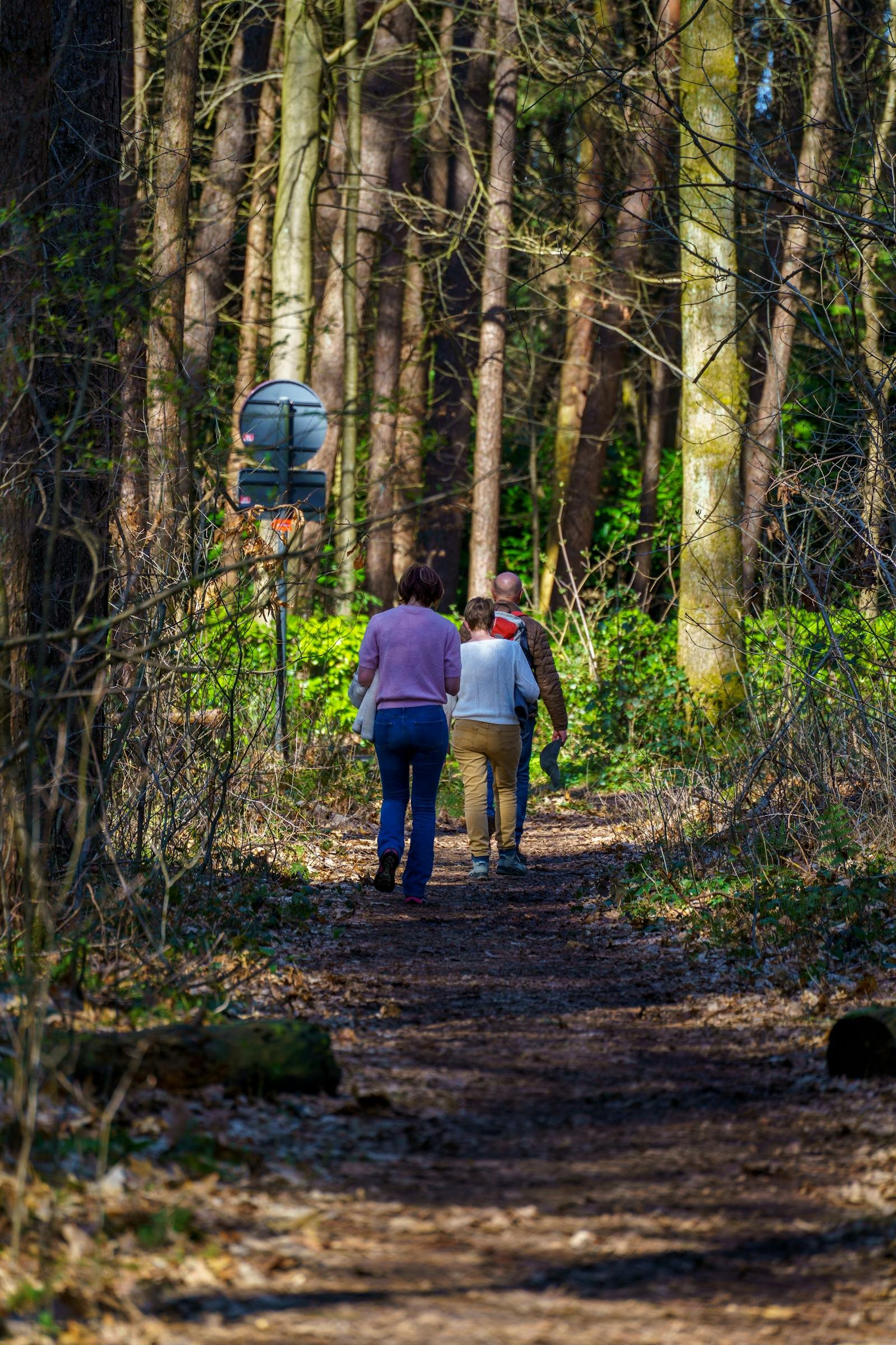 Gezin wandelt over bospad door Belgisch loofbos in de buurt van Sunclass Durbuy