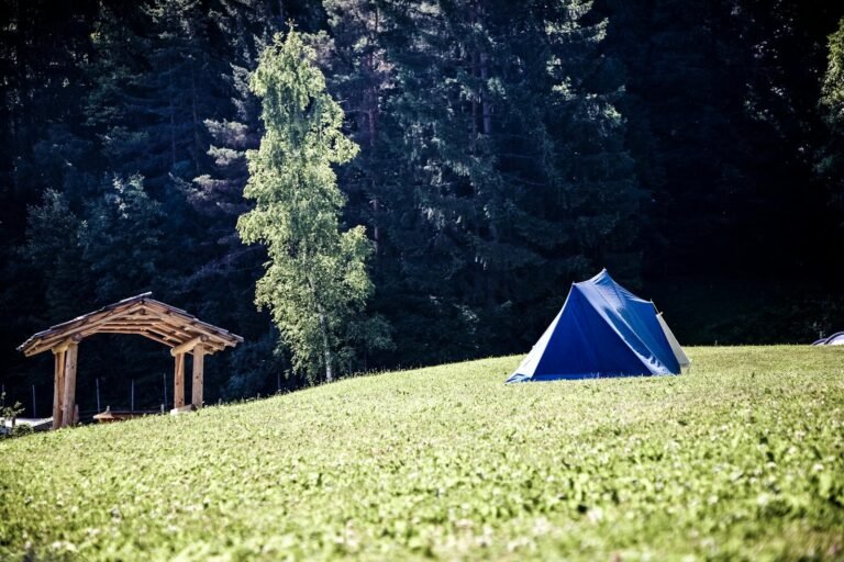 Blauwe tent op een grasveld voor een naaldbos in de zomer — pop-up camping sfeer