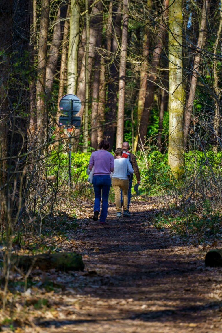 Twee mensen wandelen over een bospad door een Belgisch loofbos in de lente