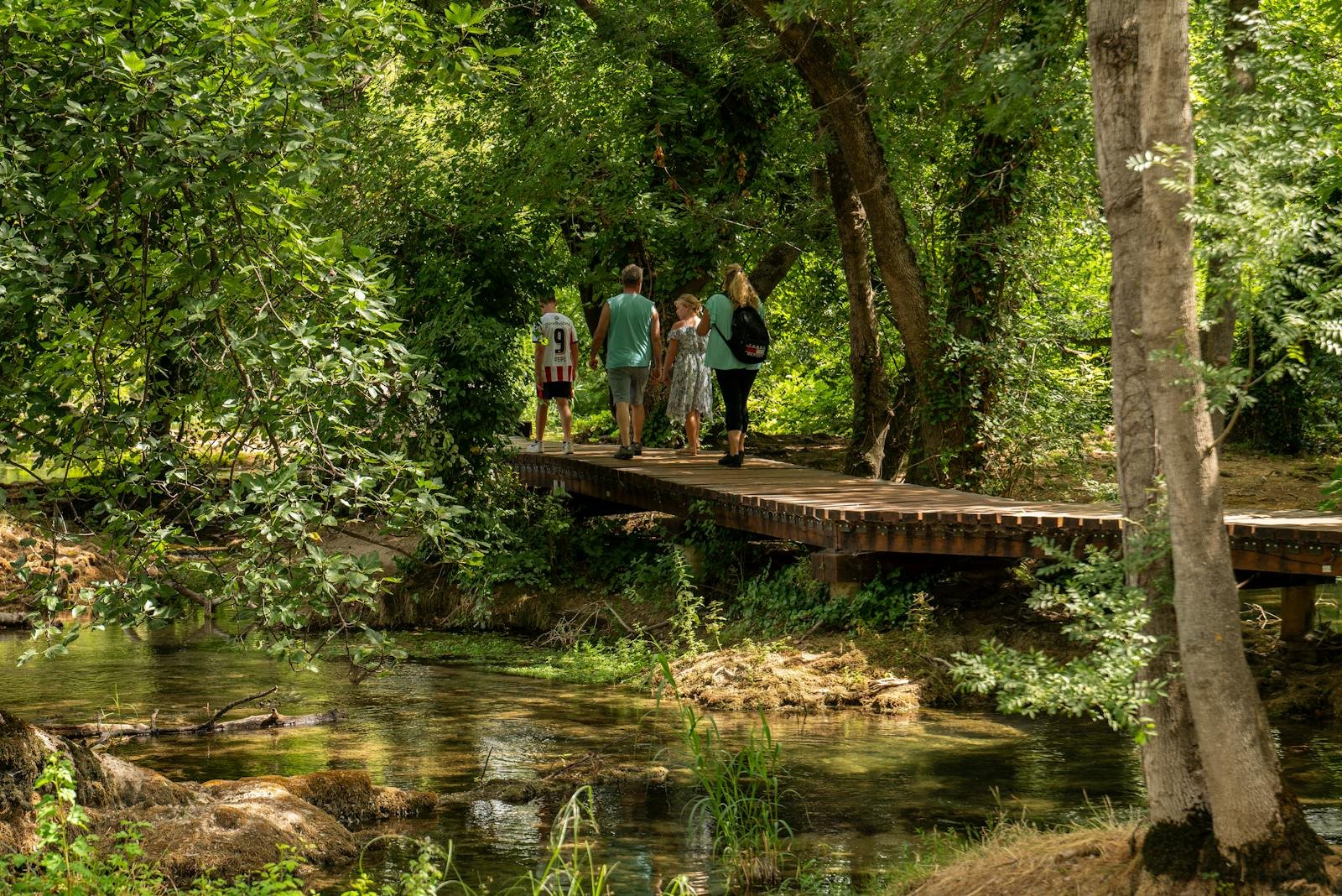 Gezin wandelt over een houten knuppelbrug door een groen bos in Limburg