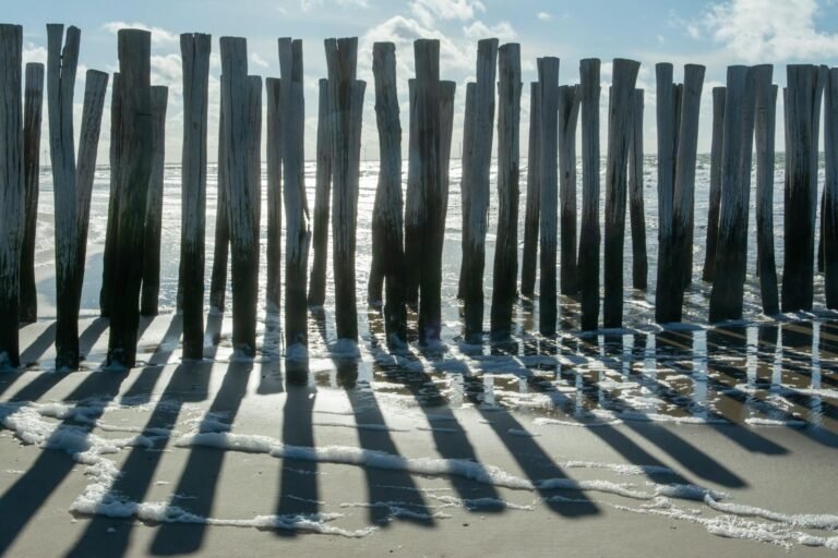 Strand Burgh-Haamstede in Zeeland met houten palen en weidse Noordzee