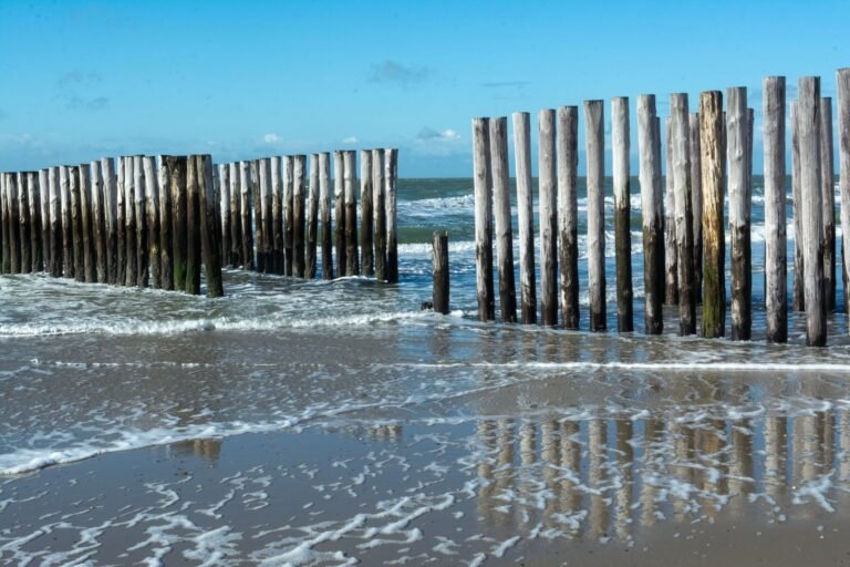 Houten palen langs de Zeeuwse kust bij Kamperland