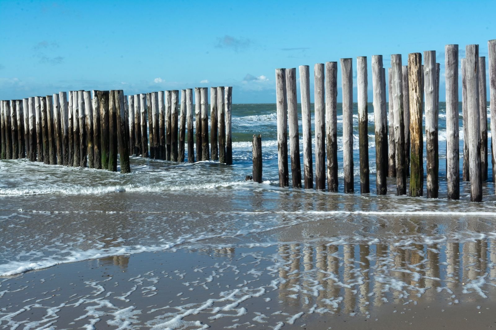 Houten palen langs de Zeeuwse kust bij Kamperland