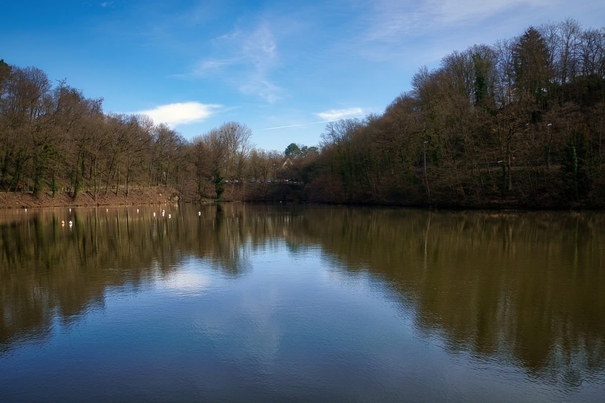Rustig meer omringd door bos, sfeerbeeld bij Center Parcs Le Lac d'Ailette in Noord-Frankrijk