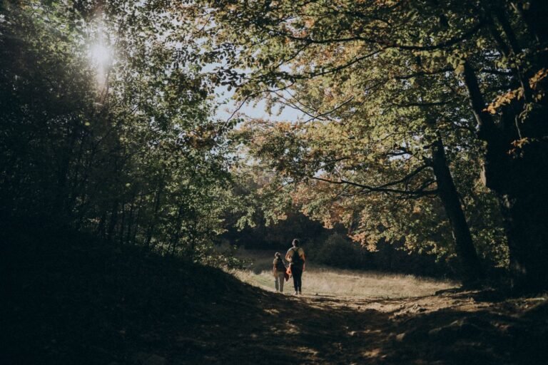 Gezin wandelt over een zonnig bospad, sfeerbeeld bij Center Parcs Les Bois-Francs in Normandië